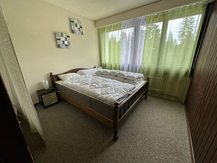 Steinadler 6 — apartamento de un ambiente — 13